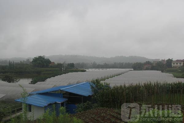 IMG_7608_副本.jpg