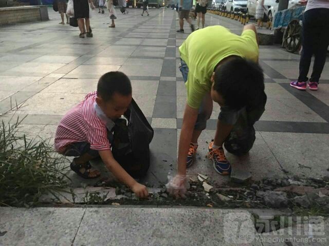 20170731_56744_1501470504143.jpg