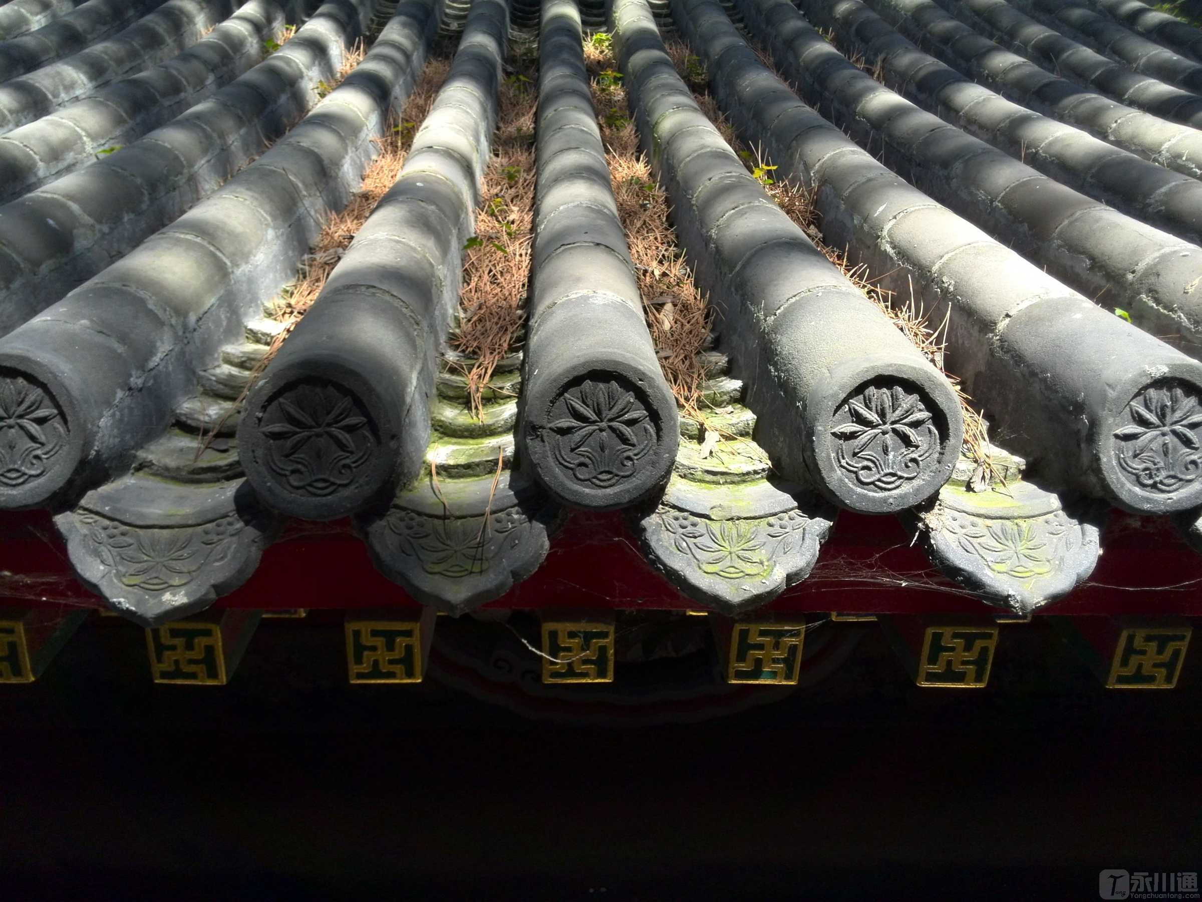 瓦当特写_副本.jpg