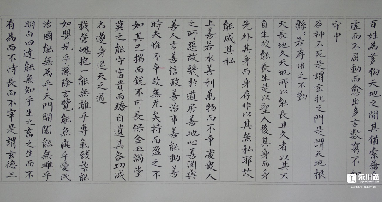 《老子》长卷局部2.jpg
