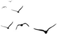172613wbzfn6zzvffv2bqv.png