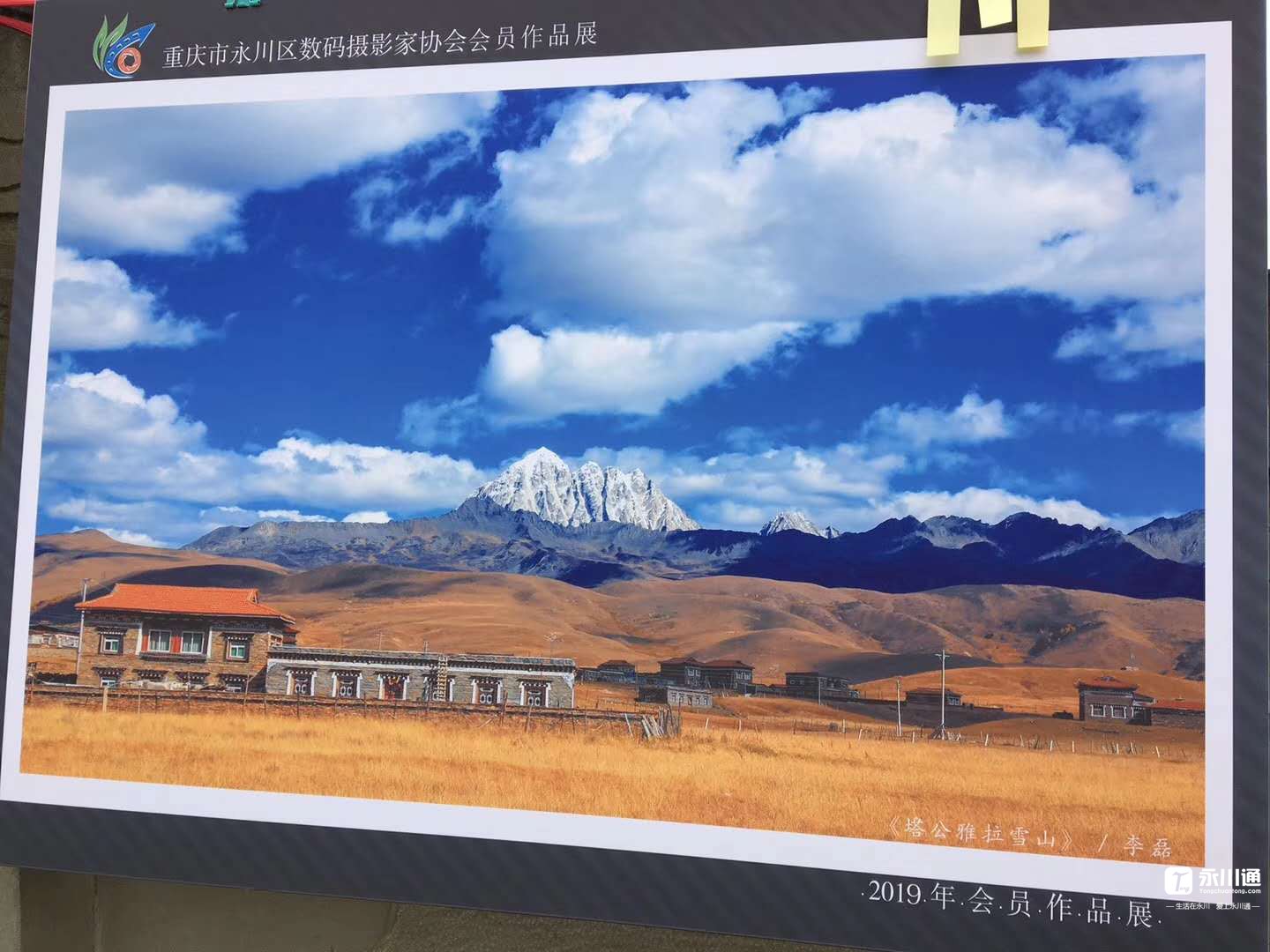 微信图片_20200615161007.jpg
