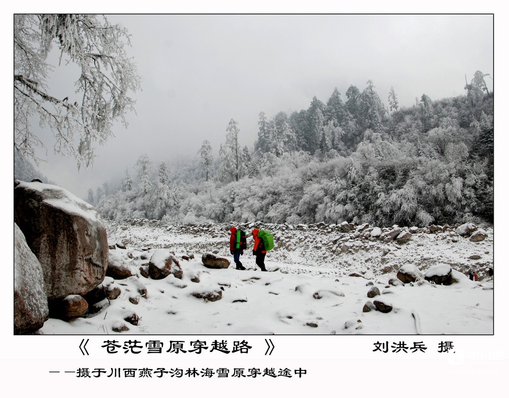 苍茫雪原穿越路.jpg