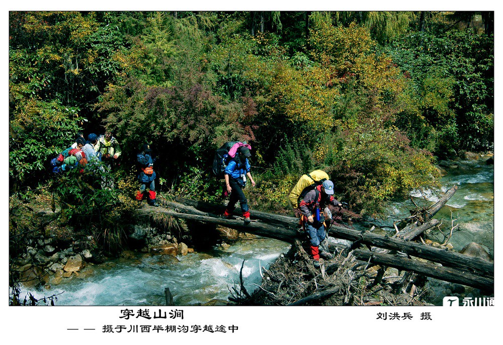丛林驴踪.jpg