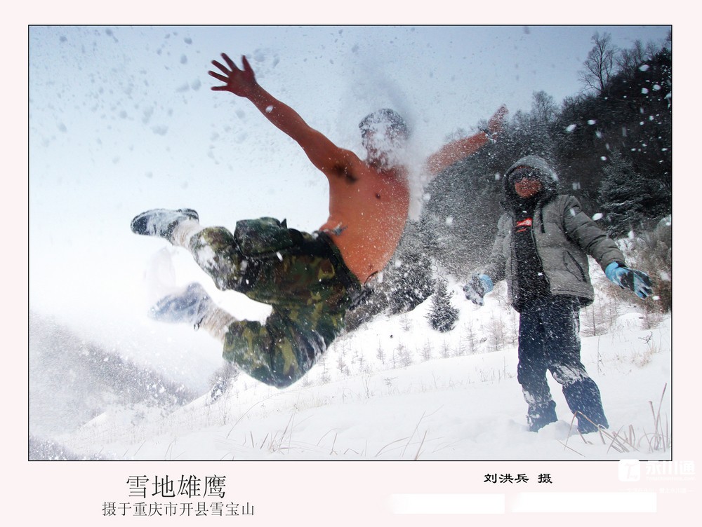 雪地雄鹰.jpg