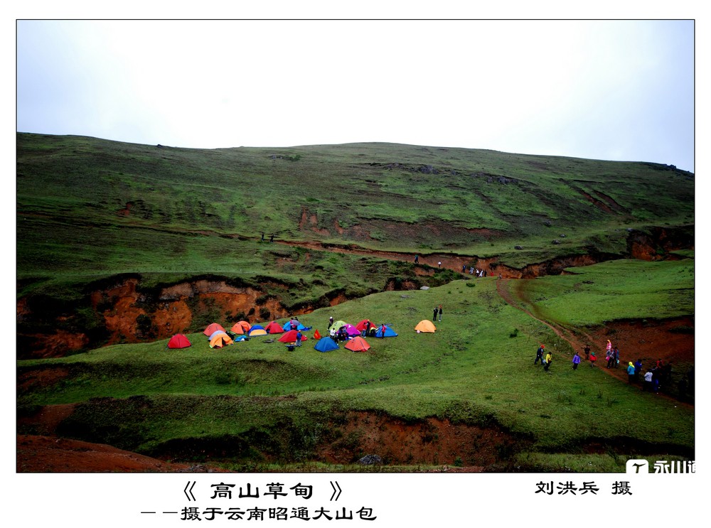 高山草甸.jpg