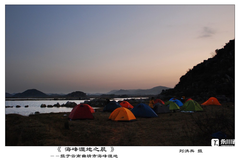 海峰湿地之晨.jpg