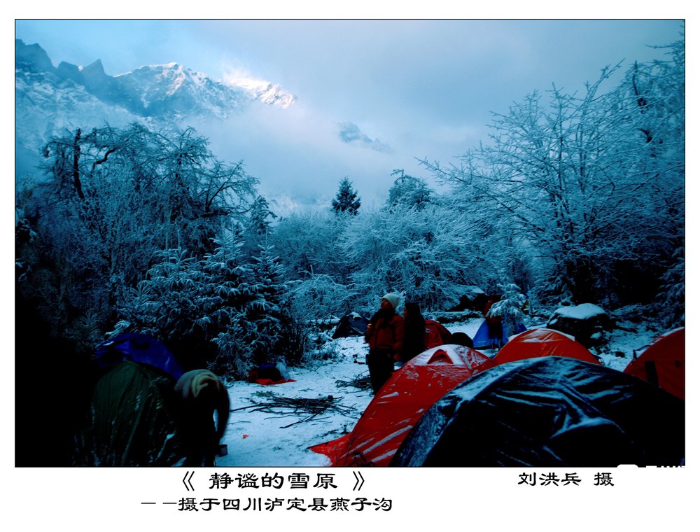 静谧的雪原.jpg
