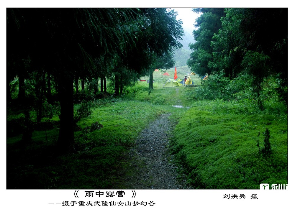 雨中露营森林边.jpg