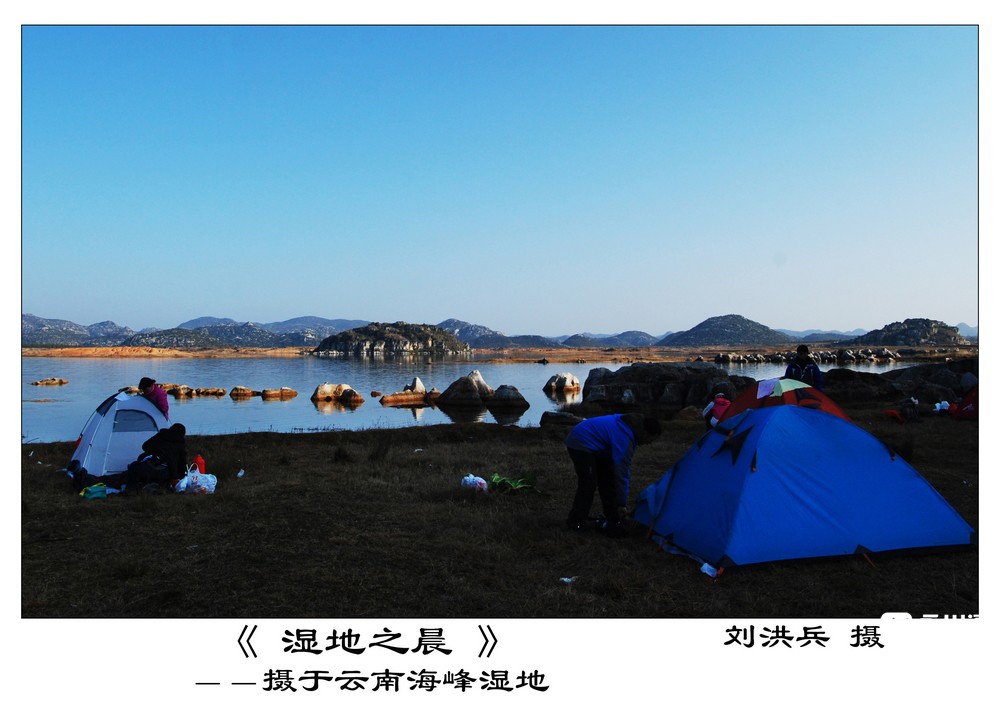 云南湿地之晨.jpg