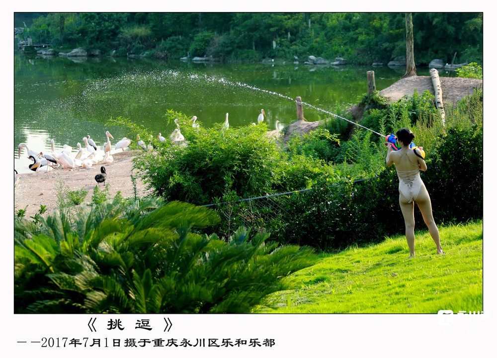 挑  逗.jpg