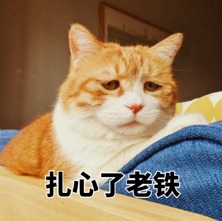 091131pch6v87lcll78668.png