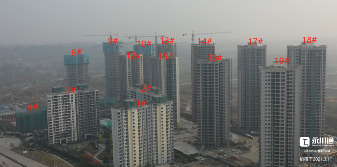 084715pasqtstitpd21zi8.png
