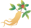 110313nf1pf74wuzm4ffwu.png