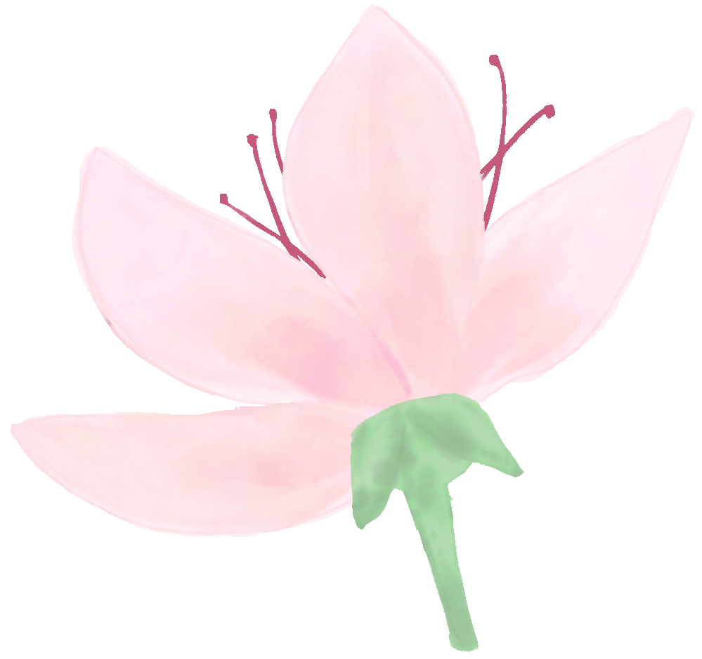 090745mssm4ioijqkvsl44.png