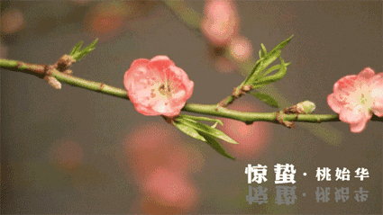 090745oo2p93cmm5ppsjqc.gif