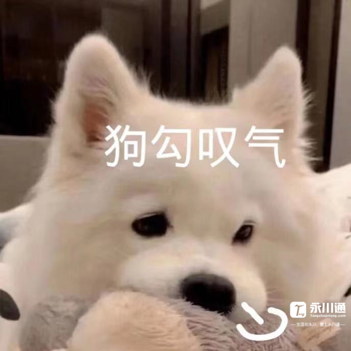 172842eadjrblrsiijkllb.png