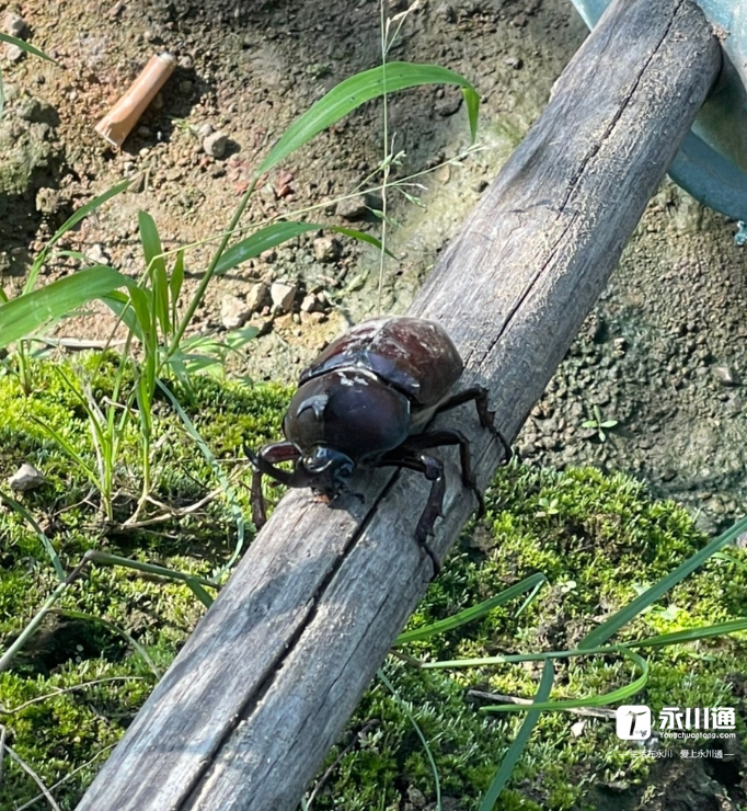搜狗截图21年06月07日0955_9.png