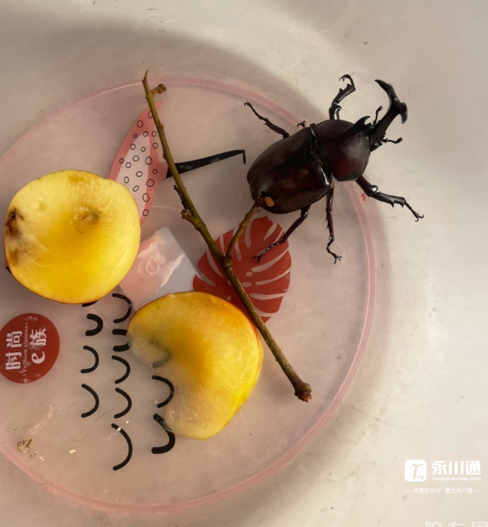 搜狗截图21年06月07日0955_10.png