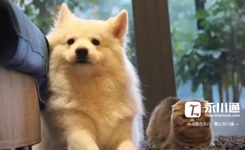 屏幕截图 2021-11-12 203304.png