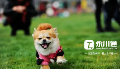 屏幕截图 2021-11-12 203328.png