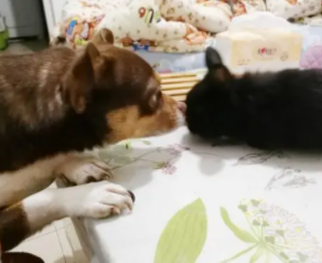 屏幕截图 2021-11-12 203836.png