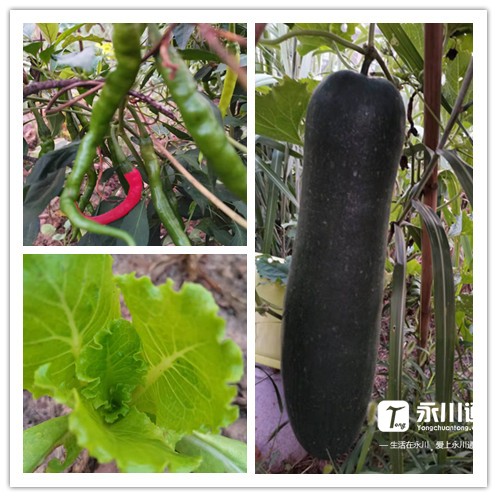 微信图片_20211231145020.jpg