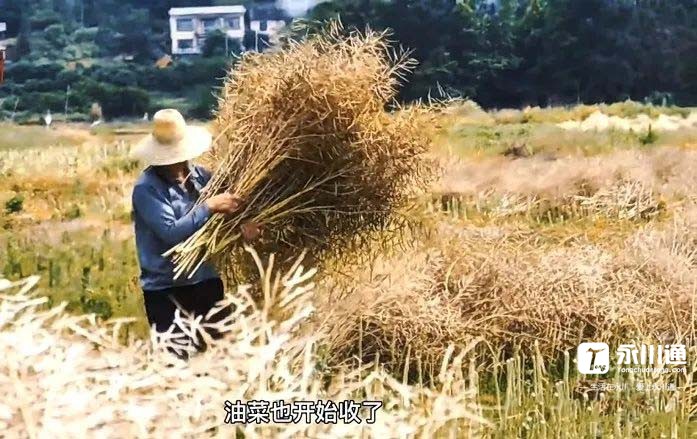 微信图片_20220506102414.jpg