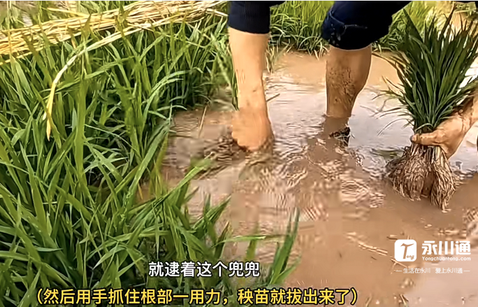 微信图片_20220506102417.png