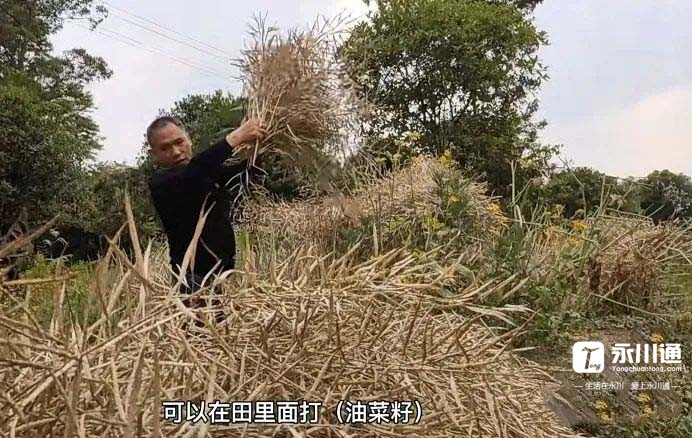 微信图片_20220506102431.jpg