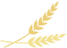 165637epe6gxxe2eh6avxa.png