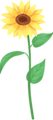 143059liuiuv7zx3u7ohai.png