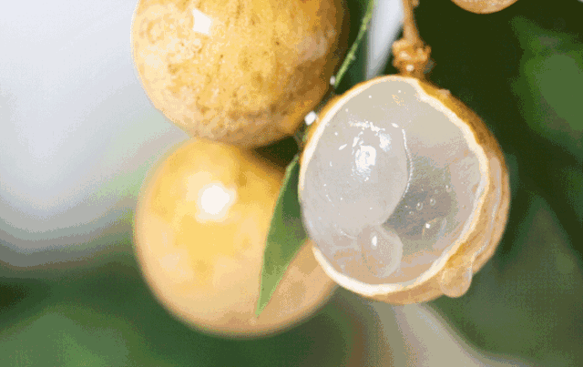 093143orrrs1oikro84o51.gif
