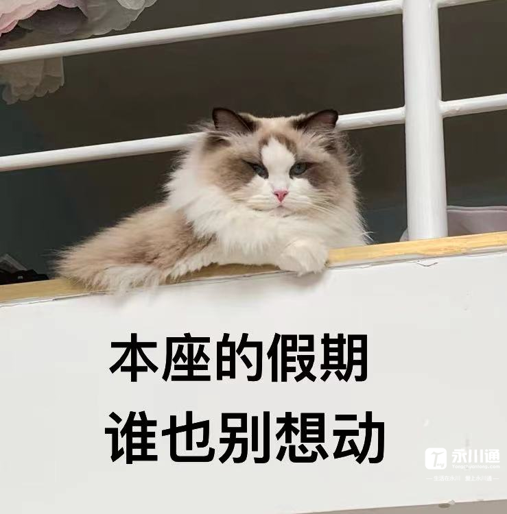 084111fse1gpgppcypxcb5.png