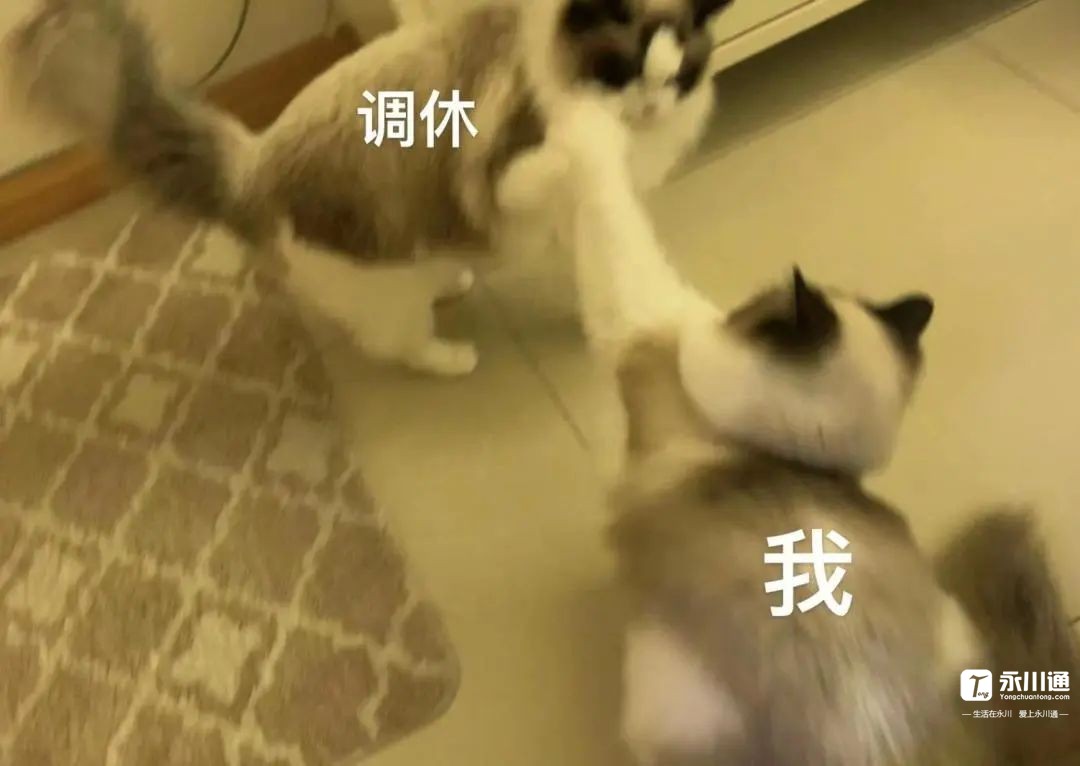 084112yy6myw6qa6gbhwgy.jpeg