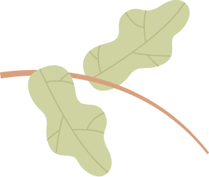 163043zee4as60ni006101.png