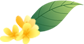 163044hkpjdc4e4kifrjjd.png