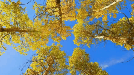 091003c8o8ig7h7icy8cwz.gif
