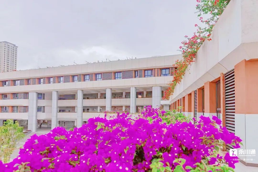 090221xoz5pfpfm1ph77hl.jpeg