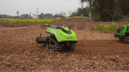 090419v1lmlf2fc92b0655.gif