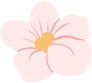090559yzp622zsj7q5z652.png