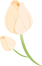 090607pggysz0zc0sljuc4.png