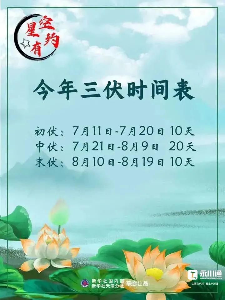 085306bf8cmz8mr766omll.jpeg