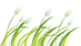 091423peqsqss8ccllrp2l.png