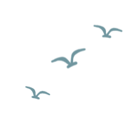 093815l1pp9pdqqzpjn30v.gif