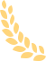 155627jfsvdnnsfdy0n9yh.png