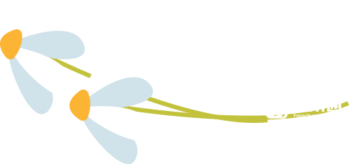 111547v240rd26lcsc13d2.png