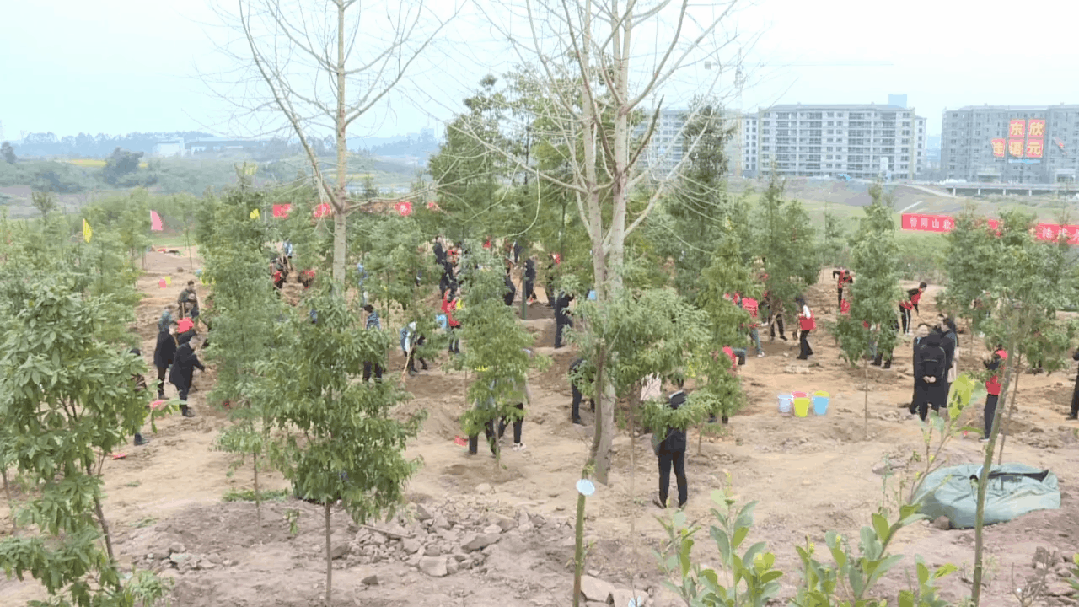 094717xrg0lfga09lkuzfc.gif