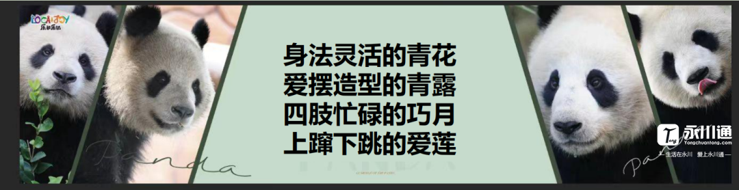 102015dxis2scqzzi6gi6g.png