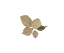 091421rnlaouap9ojduiui.gif